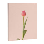The pink tulip | Floral photography | Flower botanical photograph Canvas Print Gallery Image 6