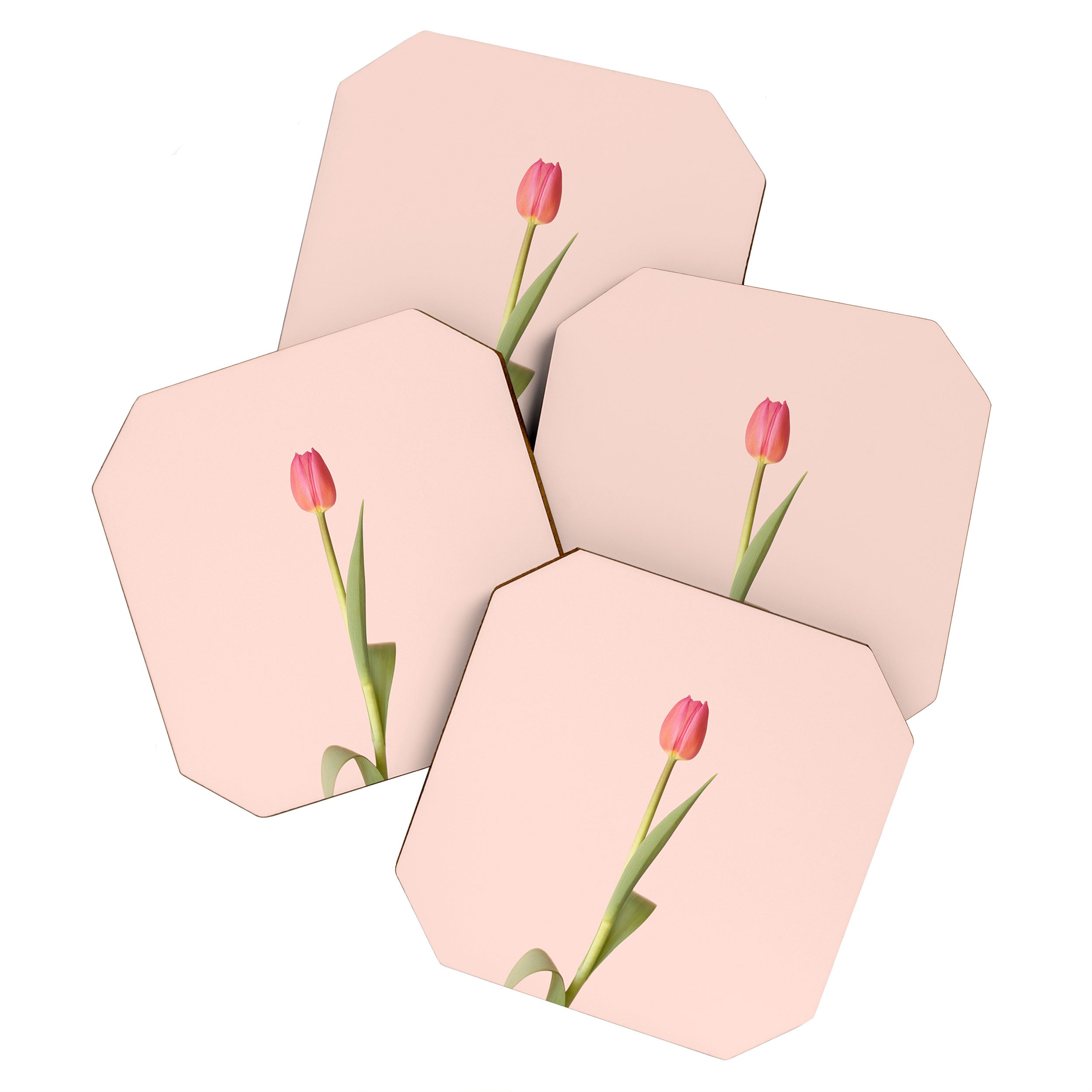 The pink tulip | Floral photography | Flower botanical photograph Coaster Gallery Image 1