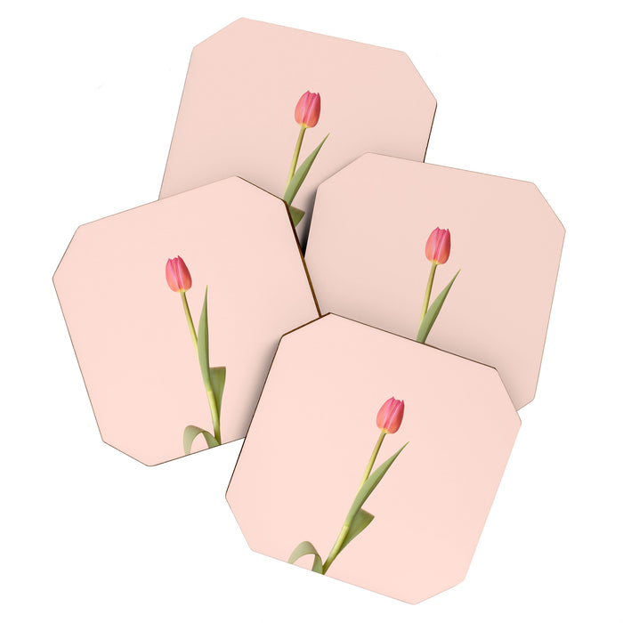 The pink tulip | Floral photography | Flower botanical photograph Coaster Gallery Image 1
