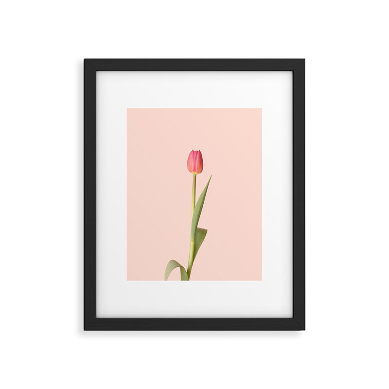 The pink tulip | Floral photography | Flower botanical photograph Framed Art Print