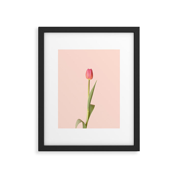 The pink tulip | Floral photography | Flower botanical photograph Framed Art Print Gallery Image 1