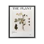 Autumn flowers Herbarium  Framed Canvas Print Gallery Image 6