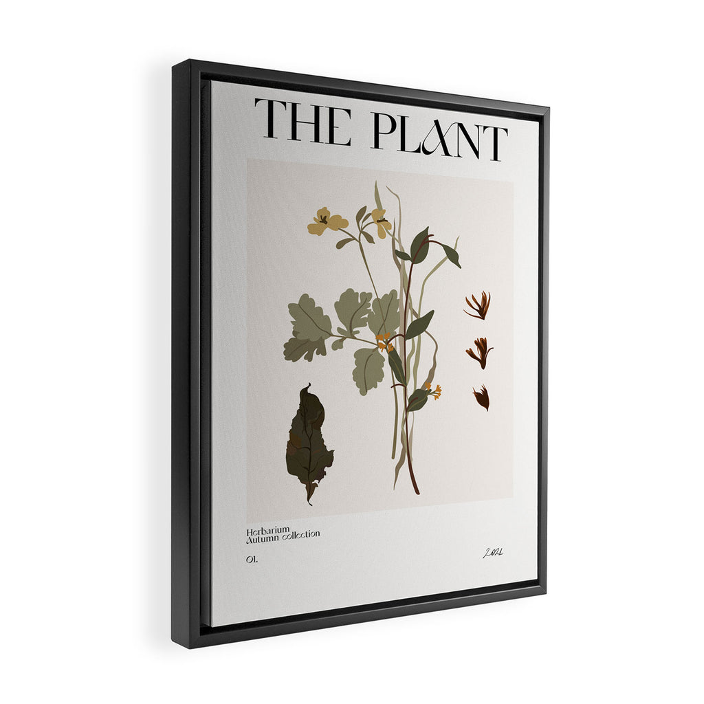Autumn flowers Herbarium  Framed Canvas Print Gallery Image 2