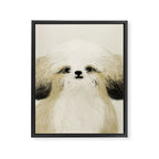 Cute dogs portrait. Wally Framed Canvas Print Gallery Image 6