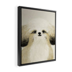 Cute dogs portrait. Wally Framed Canvas Print Gallery Image 2