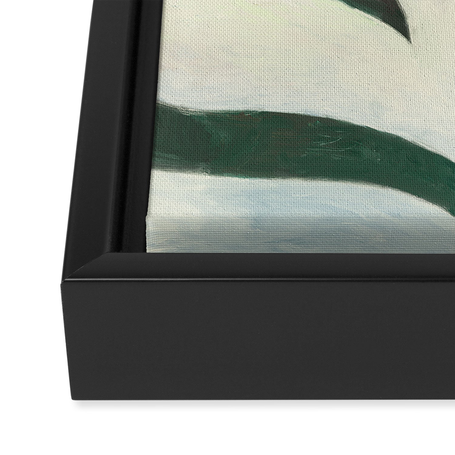 Moon flower Framed Canvas Print Gallery Image 3