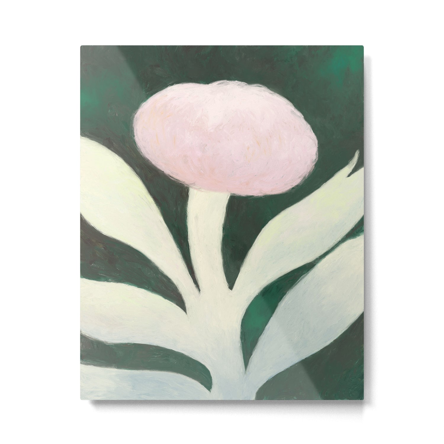 Moon flower Metal Print Gallery Image 4