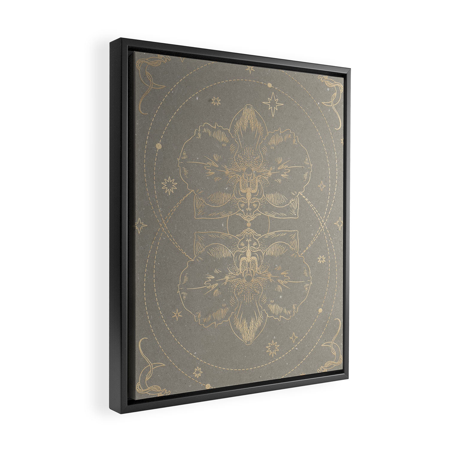 The mystical orchid 02 Framed Canvas Print Gallery Image 2