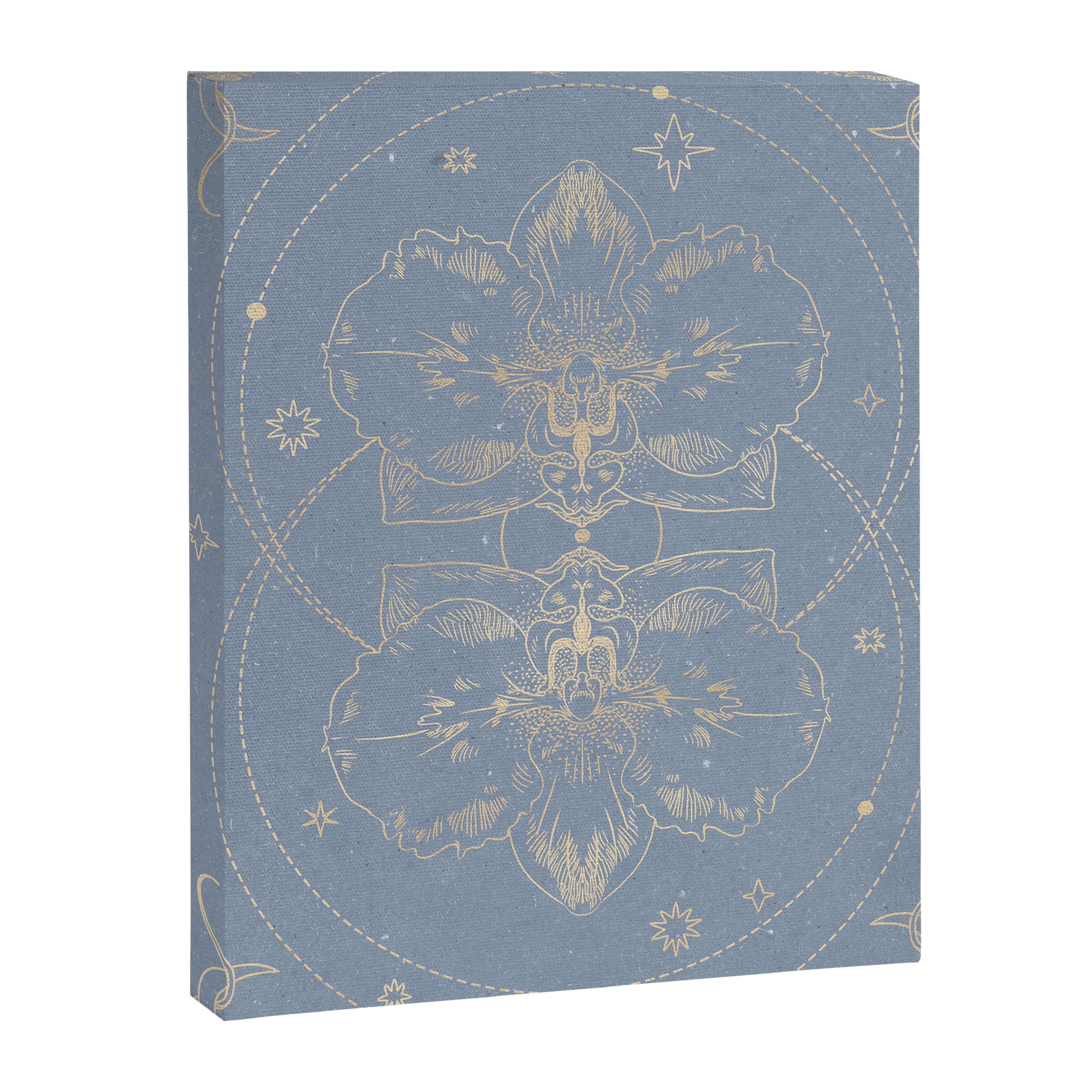 The mystical orchid  Canvas Print Gallery Image 6