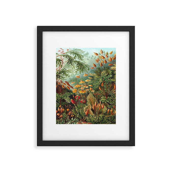 Ernst-haeckel-Kunstformen-der-Natur-viintage Framed Art Print Gallery Image 1