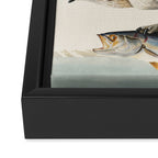 Fish Hawk, or Osprey from Birds of America (1827) by John James Audubon Framed Canvas Print Gallery Image 3