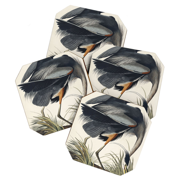 Great blue Heron from Birds of America (1827) by John James Audubon Coaster Gallery Image 1