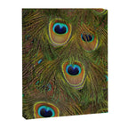 	peacock feathers Canvas Print Gallery Image 6
