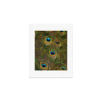 	peacock feathers Art Print Gallery Image 1