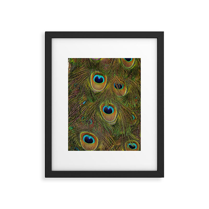 	peacock feathers Framed Art Print Gallery Image 4