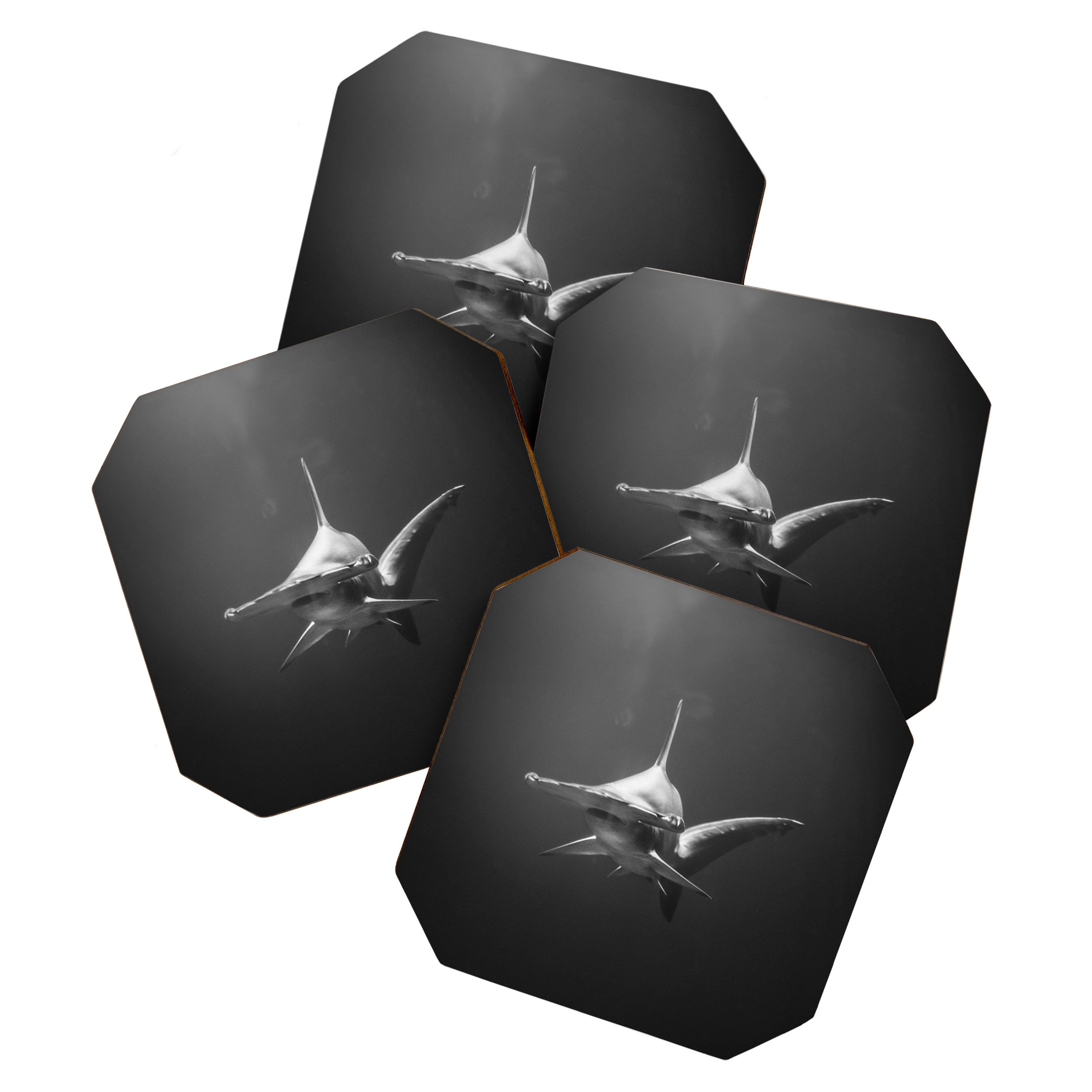 Hammerhead Shark (Black and White) Coaster Gallery Image 1