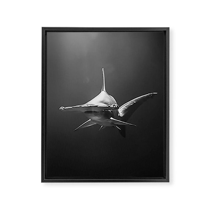 Hammerhead Shark (Black and White) Framed Canvas Print Gallery Image 1