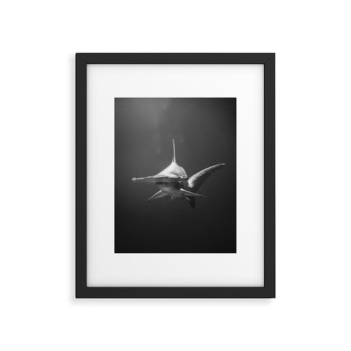 Hammerhead Shark (Black and White) Framed Art Print Gallery Image 1