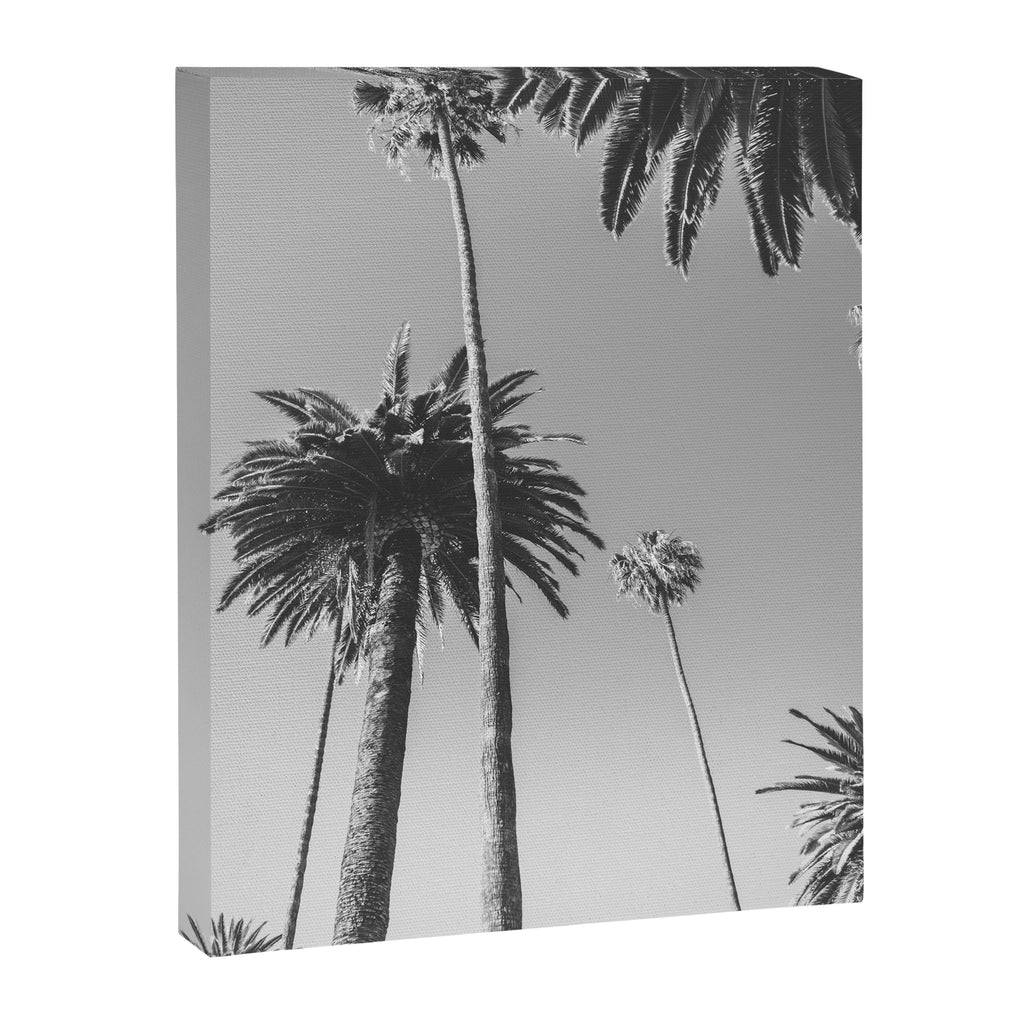 Palm Trees (Black and White) Canvas Print Gallery Image 6