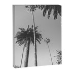 Palm Trees (Black and White) Canvas Print Gallery Image 6