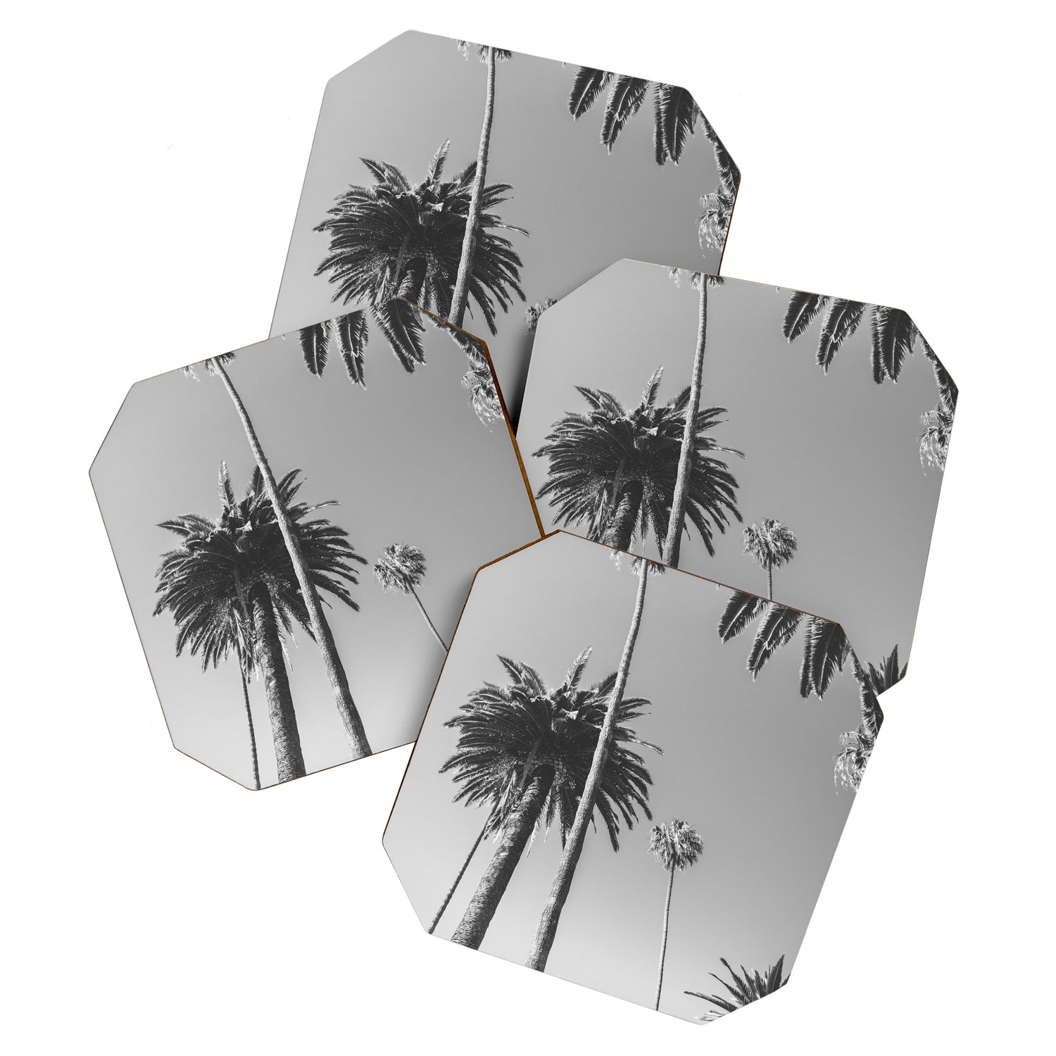 Palm Trees (Black and White) Coaster Gallery Image 1
