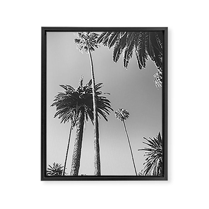 Palm Trees (Black and White) Framed Canvas Print Gallery Image 1
