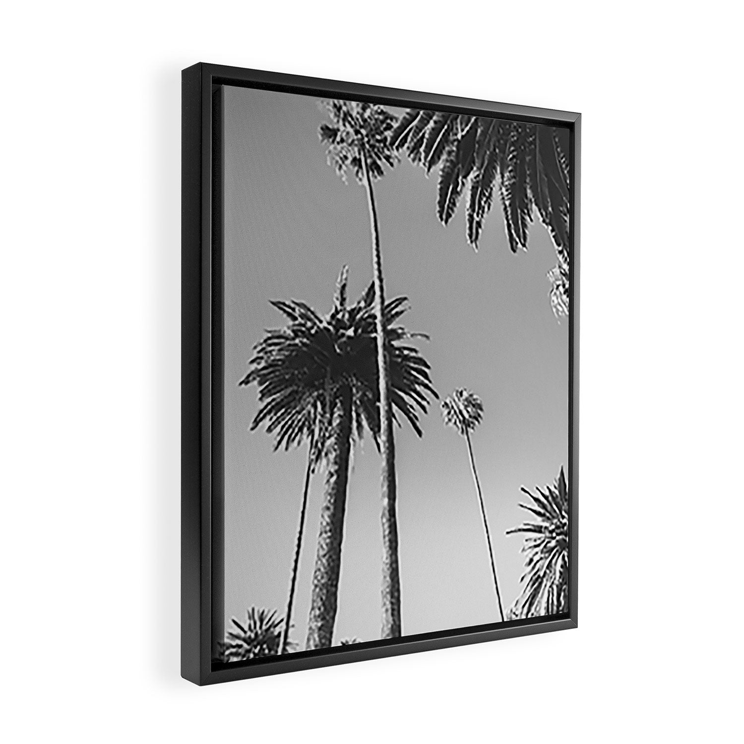 Palm Trees (Black and White) Framed Canvas Print Gallery Image 2