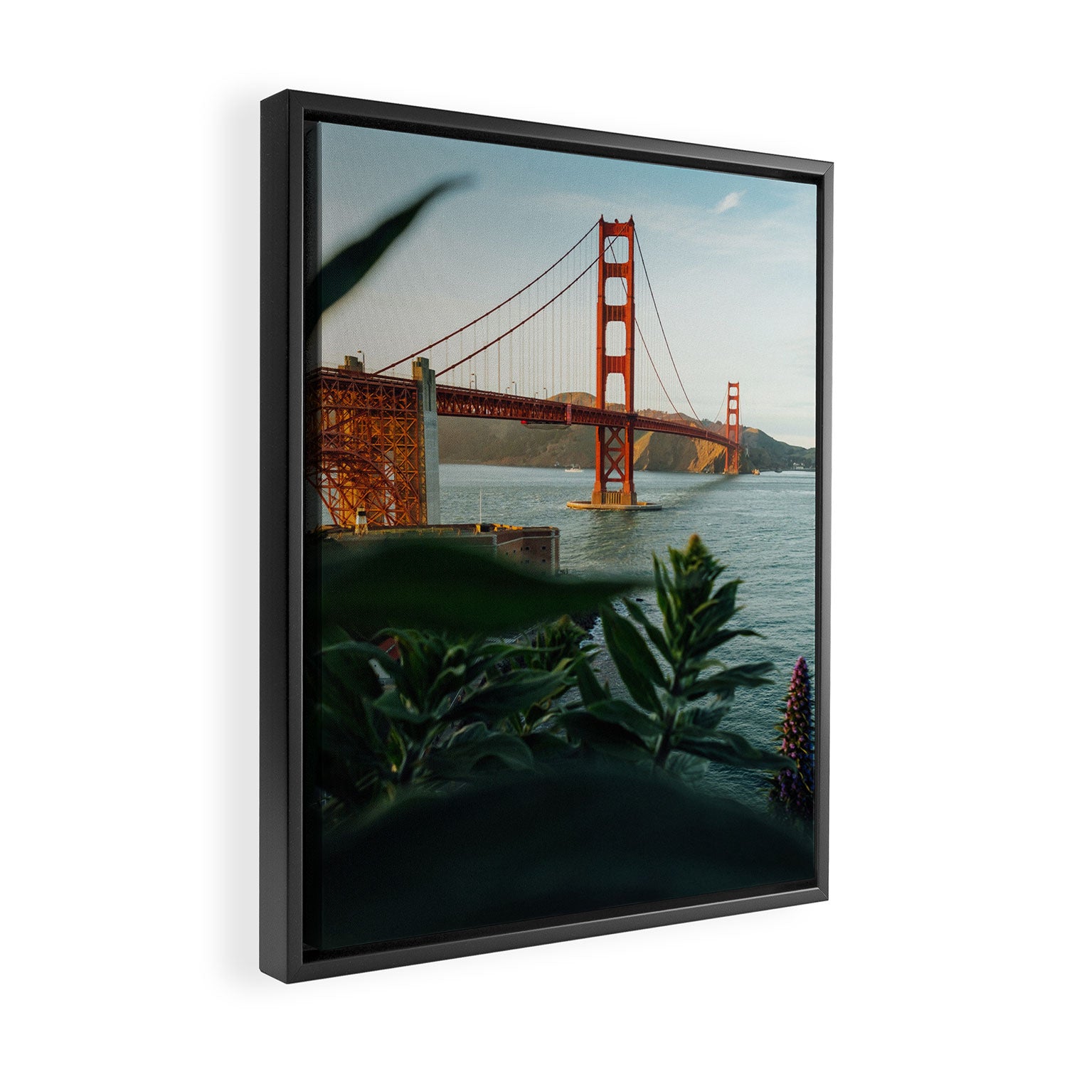 San Francisco Bridge Plant (Color) Framed Canvas Print Gallery Image 2