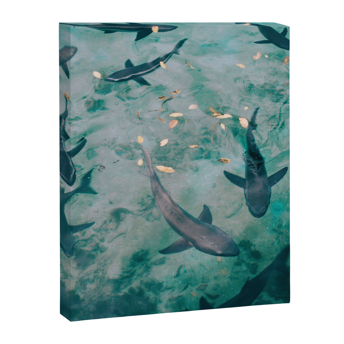 Shoal of Sharks (Color) Canvas Print Gallery Image 6