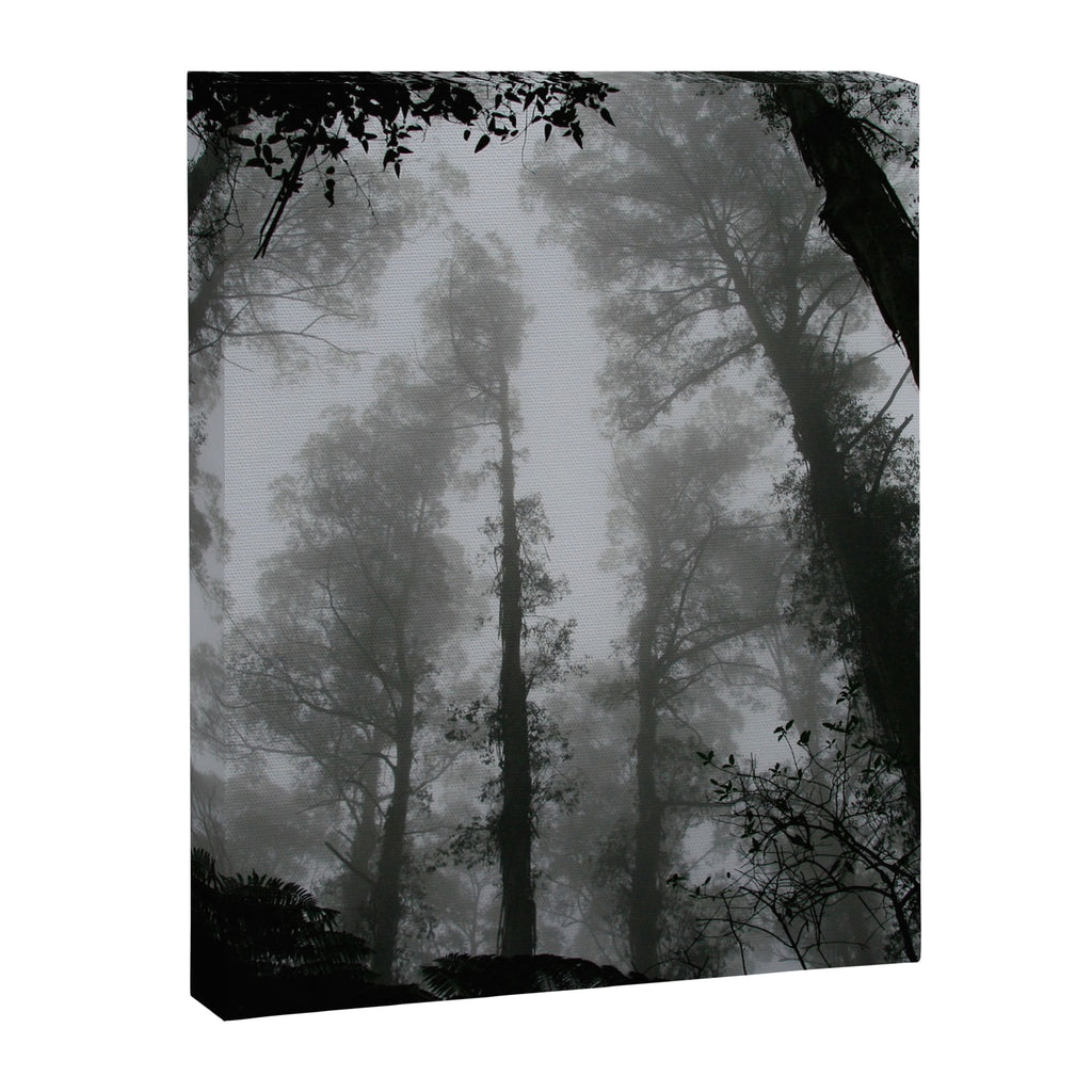 The Dark Forest (Black and White) Canvas Print Gallery Image 6