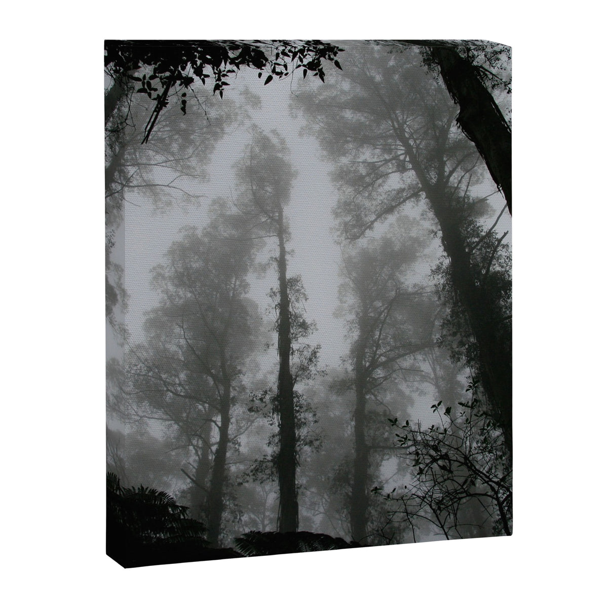 The Dark Forest (Black and White) Canvas Print Gallery Image 6