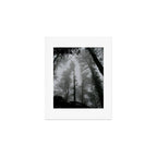 The Dark Forest (Black and White) Art Print Gallery Image 1