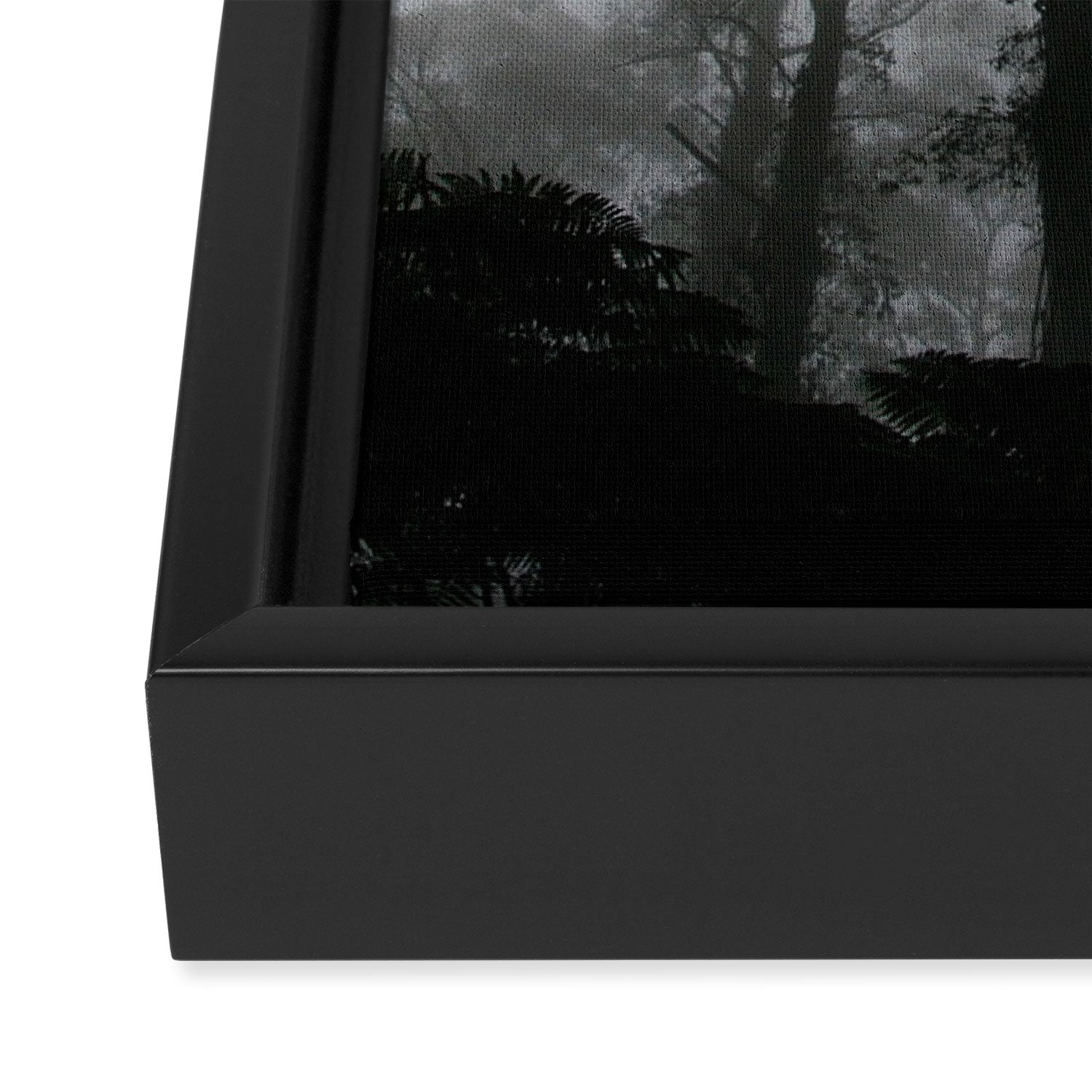 The Dark Forest (Black and White) Framed Canvas Print Gallery Image 3