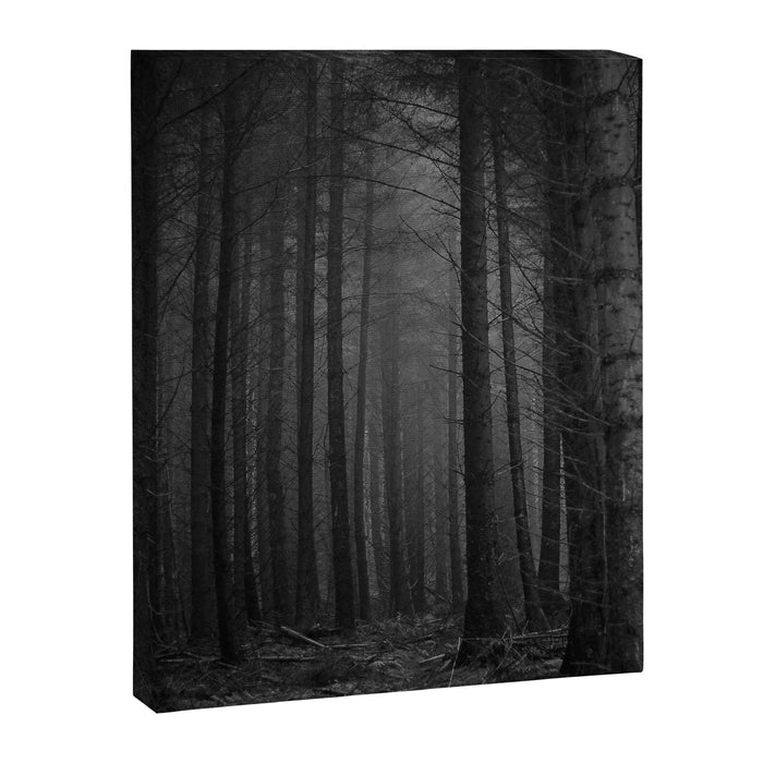 The Dense & Foggy Forest (Black and White) Canvas Print Gallery Image 1