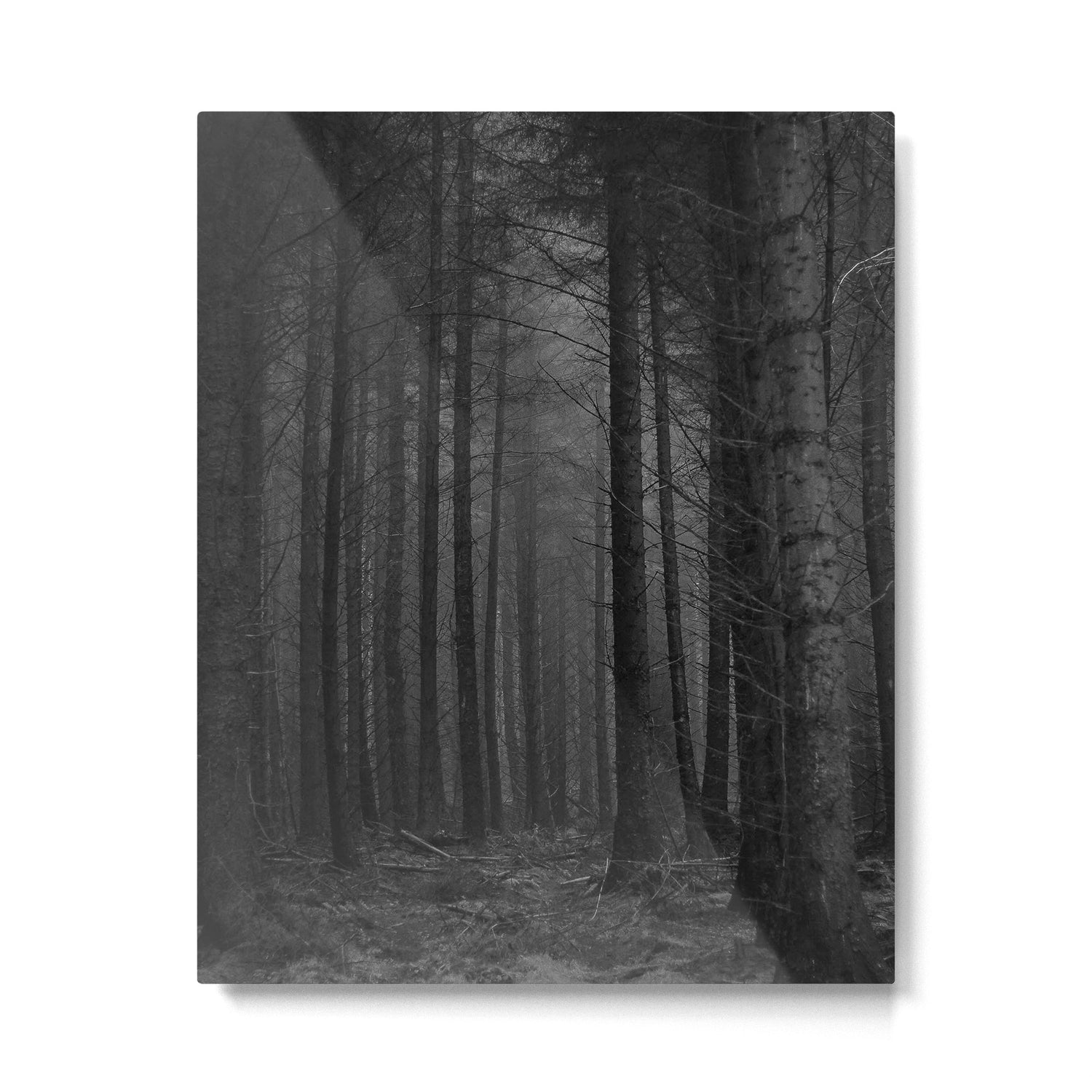 The Dense & Foggy Forest (Black and White) Metal Print Gallery Image 4