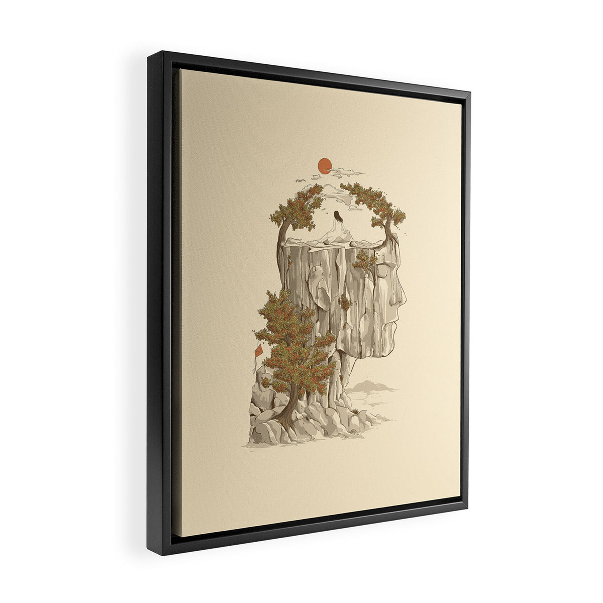 A Beautiful Mind Framed Canvas Print Gallery Image 2