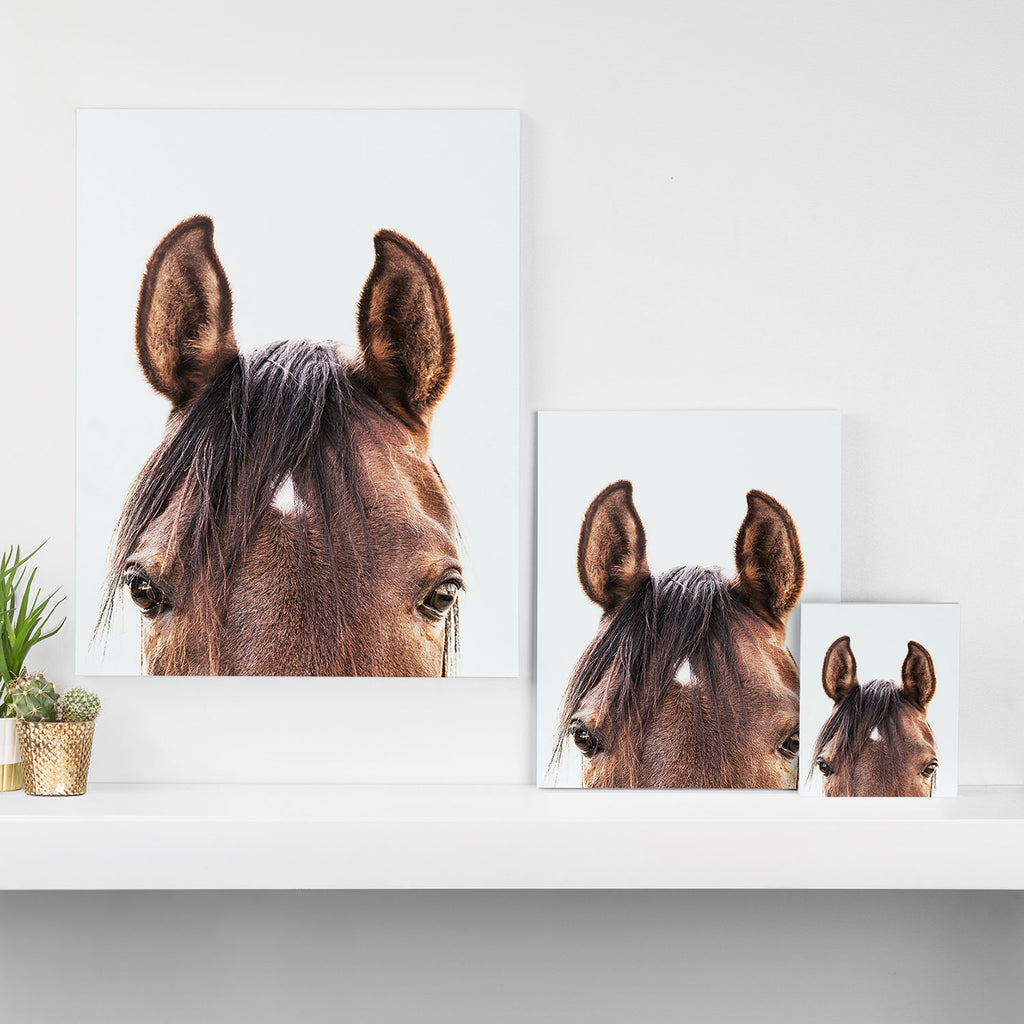 peekaboo horse, bw horse print, horse photo, equestrian, equestrian photo, equestrian decor Canvas Print Gallery Image 3