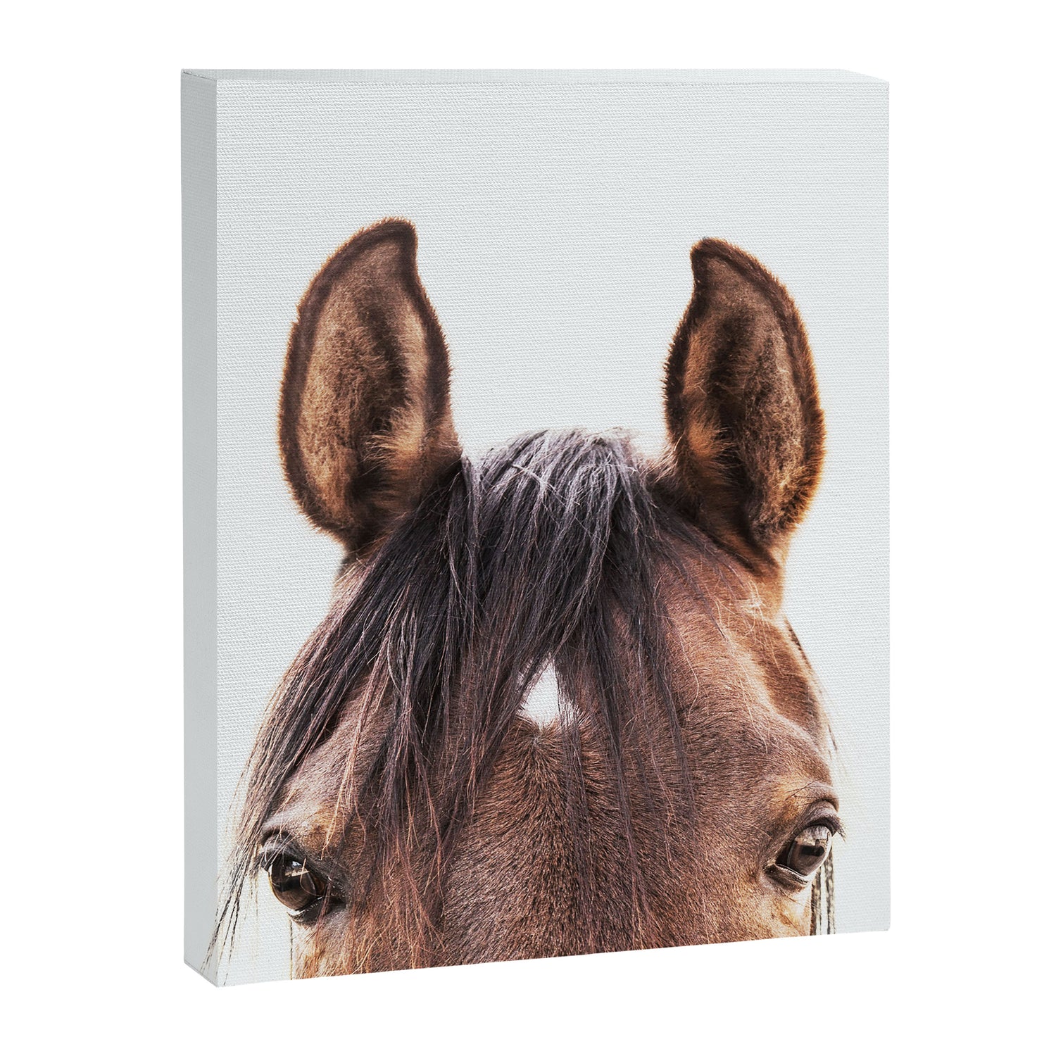 peekaboo horse, bw horse print, horse photo, equestrian, equestrian photo, equestrian decor Canvas Print Gallery Image 3