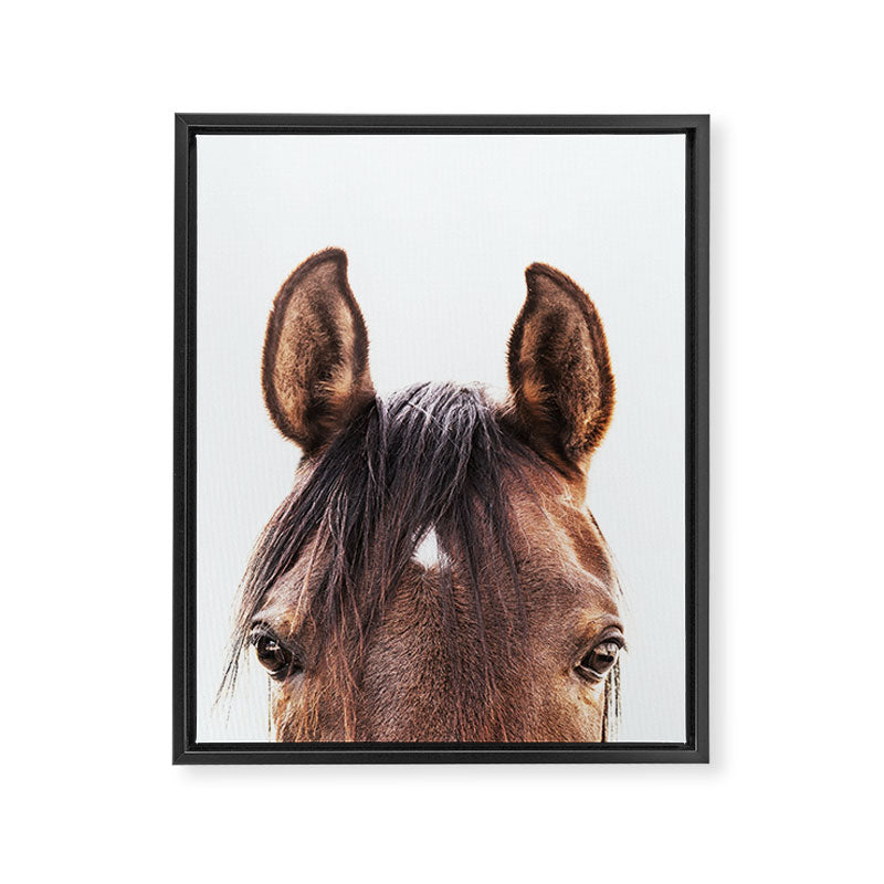 peekaboo horse, bw horse print, horse photo, equestrian, equestrian photo, equestrian decor Framed Canvas Print Gallery Image 6
