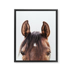 peekaboo horse, bw horse print, horse photo, equestrian, equestrian photo, equestrian decor Framed Canvas Print Gallery Image 6