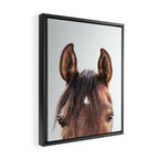peekaboo horse, bw horse print, horse photo, equestrian, equestrian photo, equestrian decor Framed Canvas Print Gallery Image 2