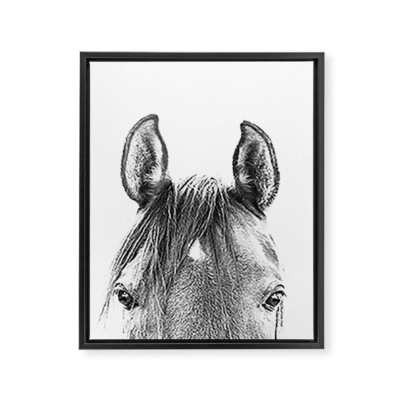 peekaboo horse, bw horse print, horse photo, equestrian print, equestrian photo, equestrian decor Framed Canvas Print Gallery Image 6