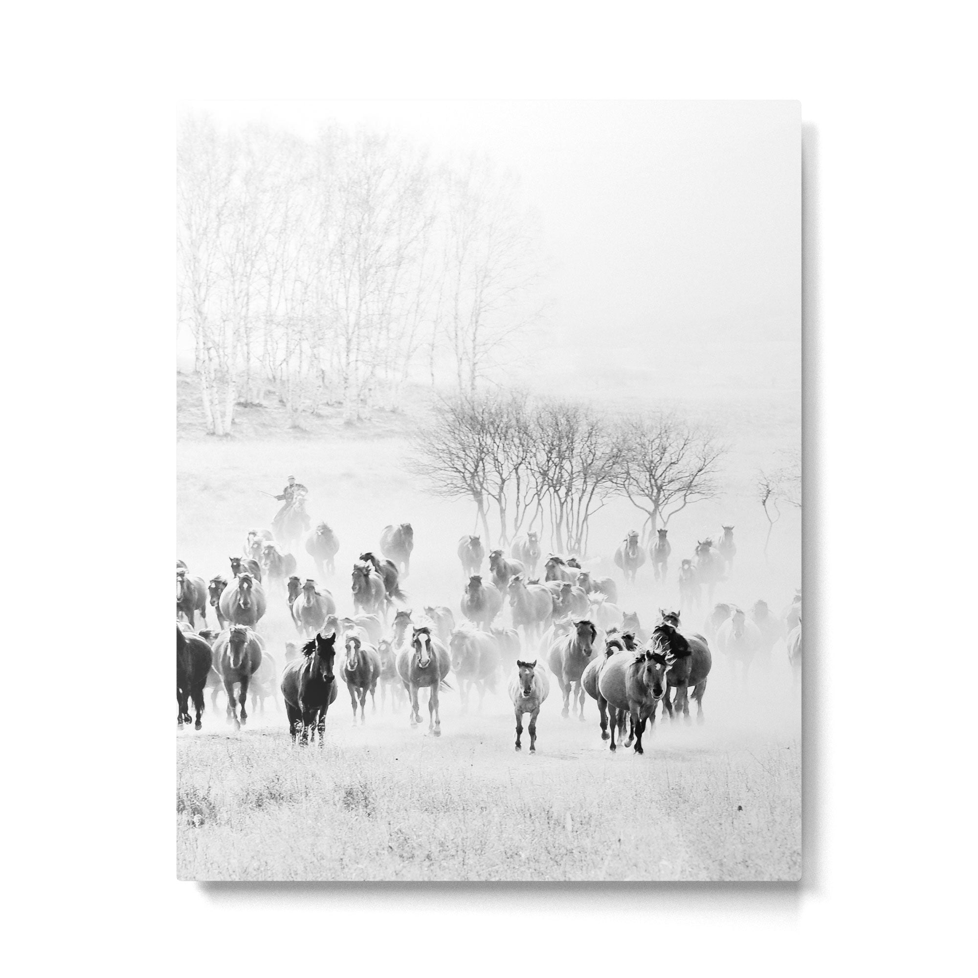 southwest cowboy horse decor print Metal Print Gallery Image 4