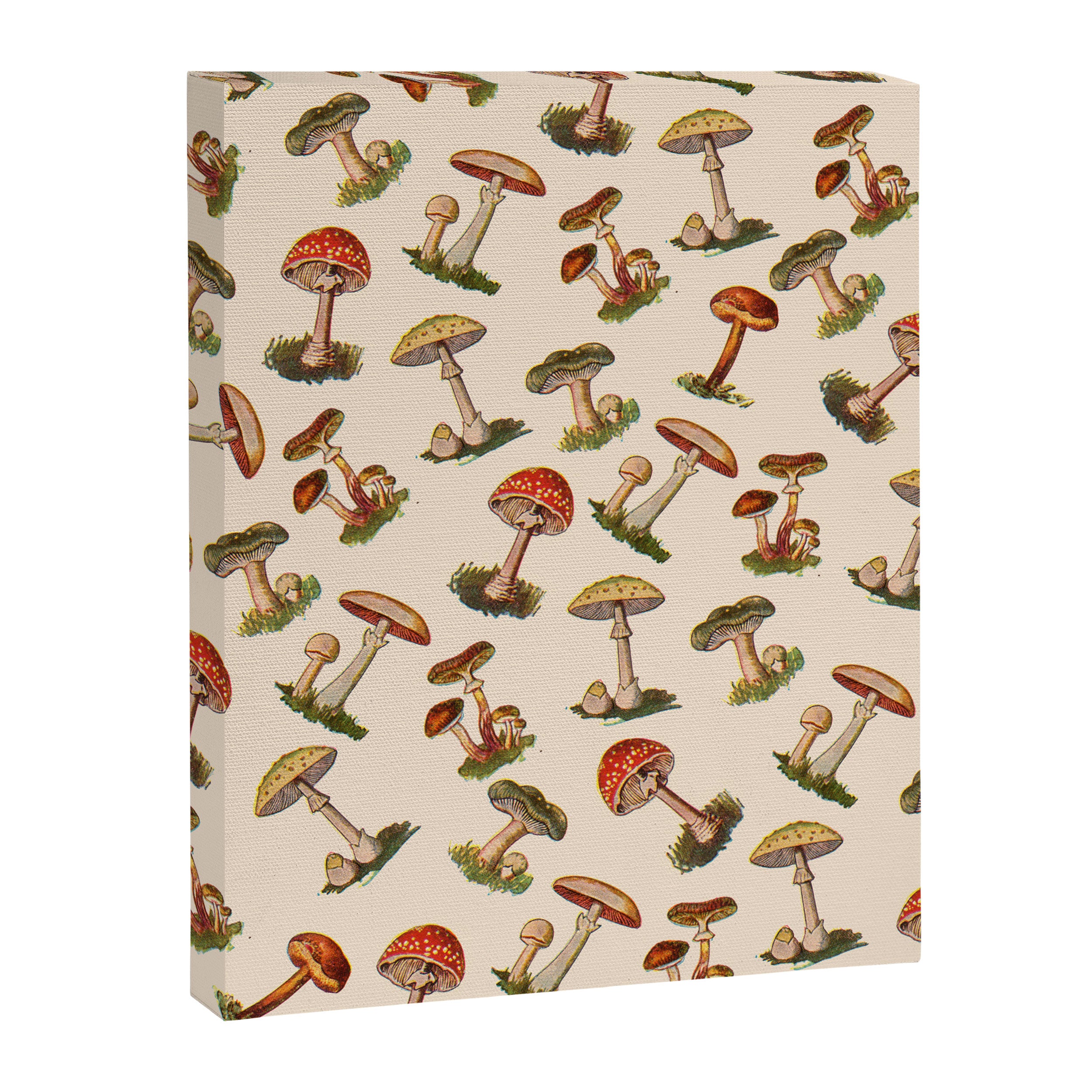Magical Mushrooms Canvas Print Gallery Image 8