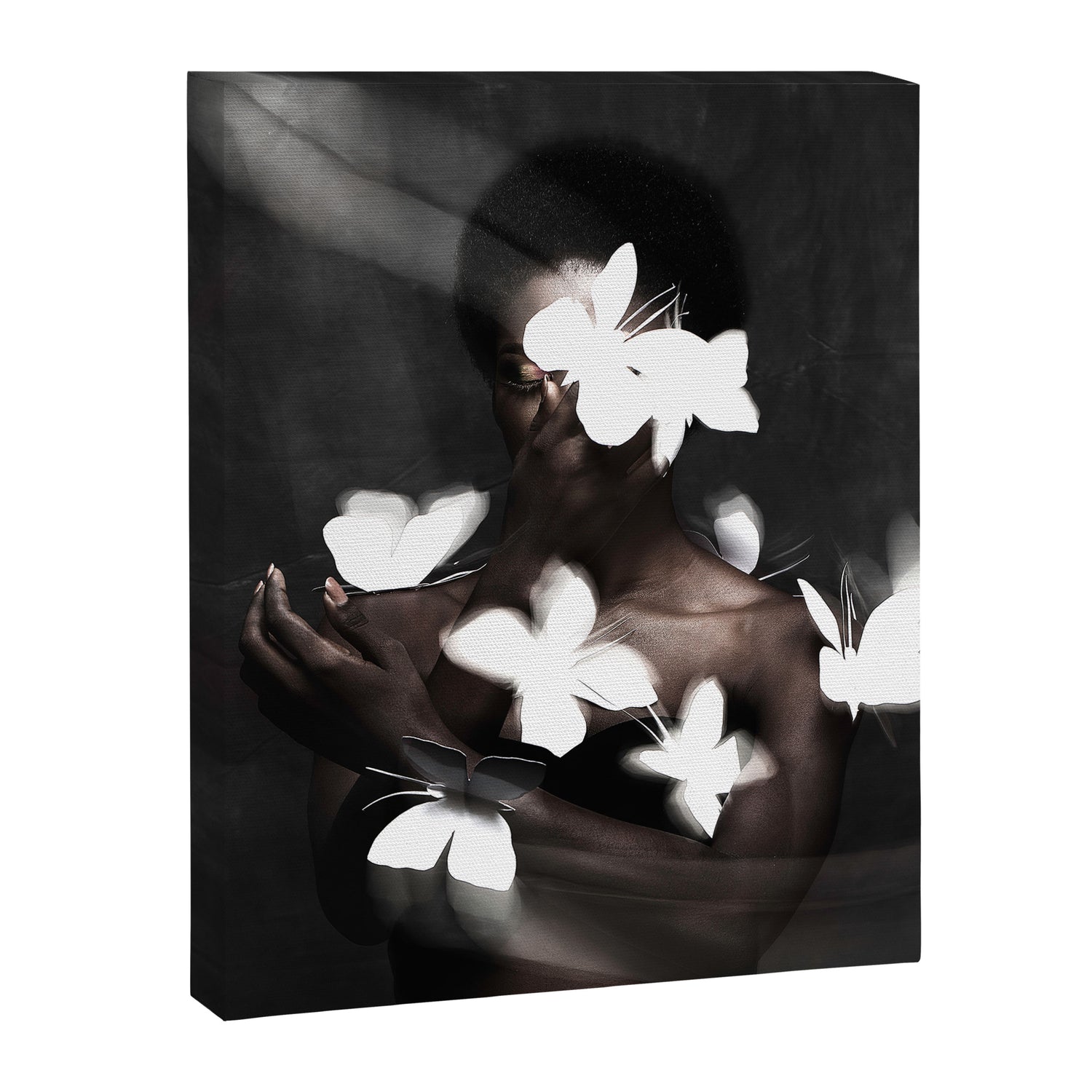 Butterfly Effect Canvas Print Gallery Image 6