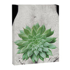 A Succulent Woman Canvas Print Gallery Image 6