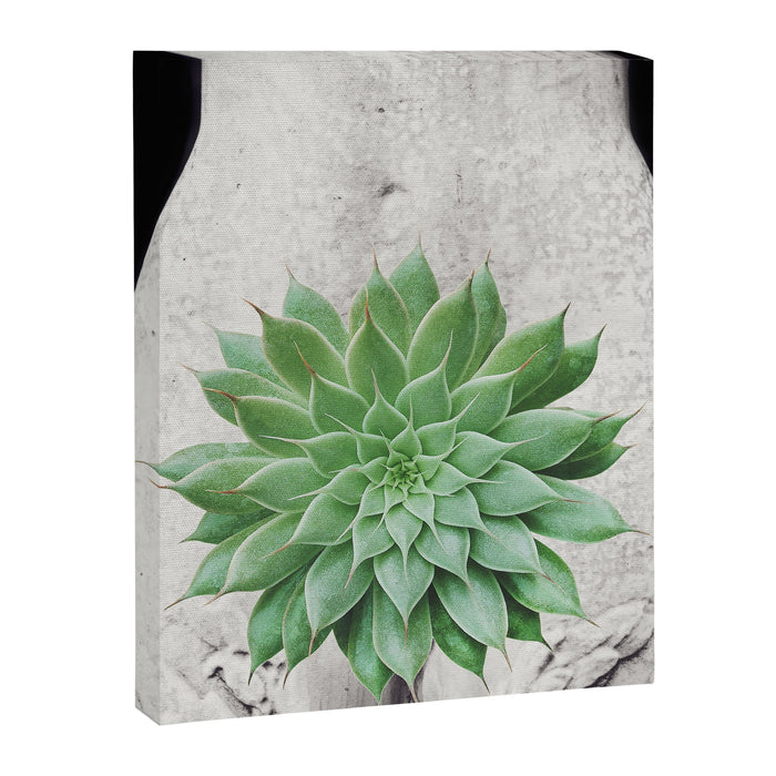 A Succulent Woman Canvas Print Gallery Image 1