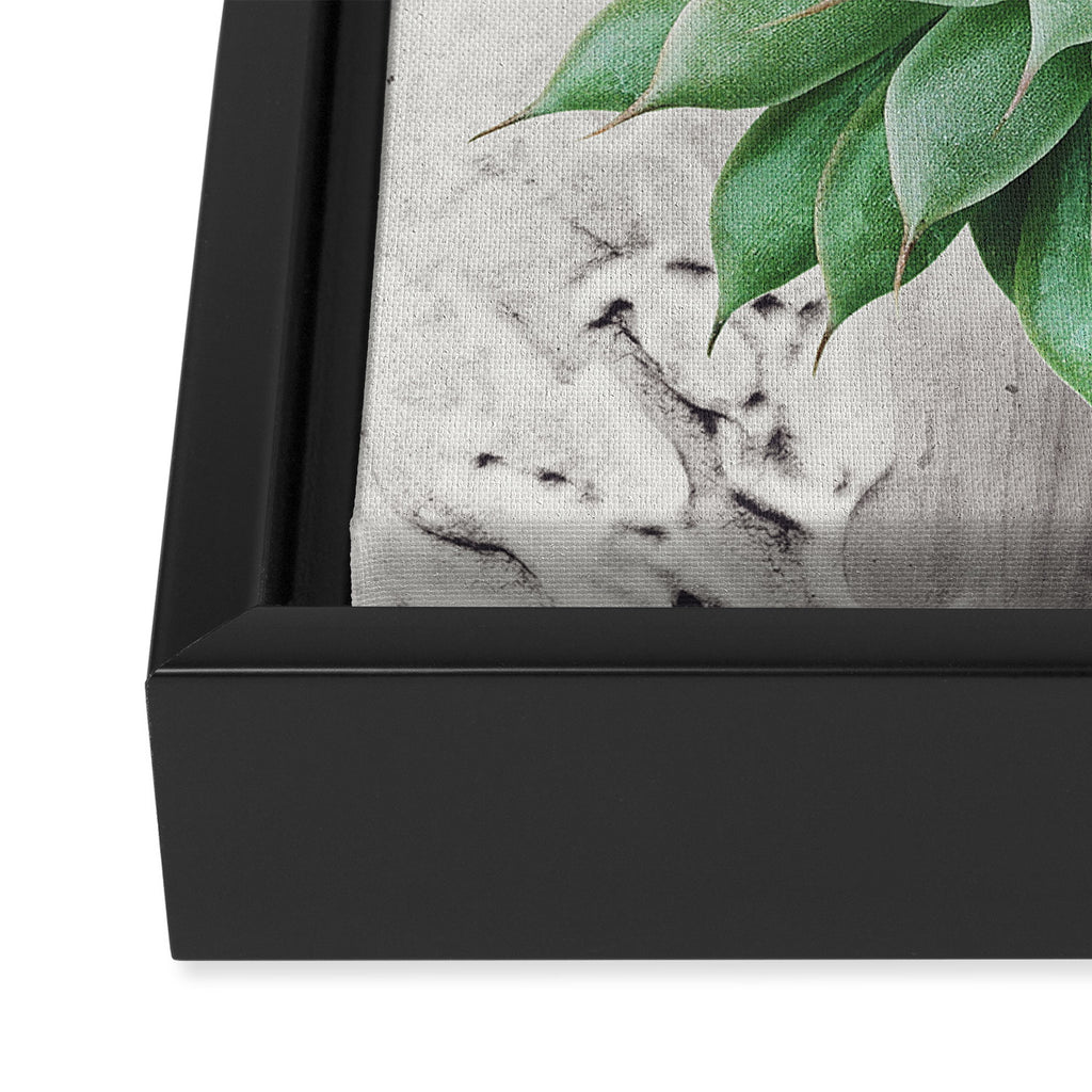 A Succulent Woman Framed Canvas Print Gallery Image 3