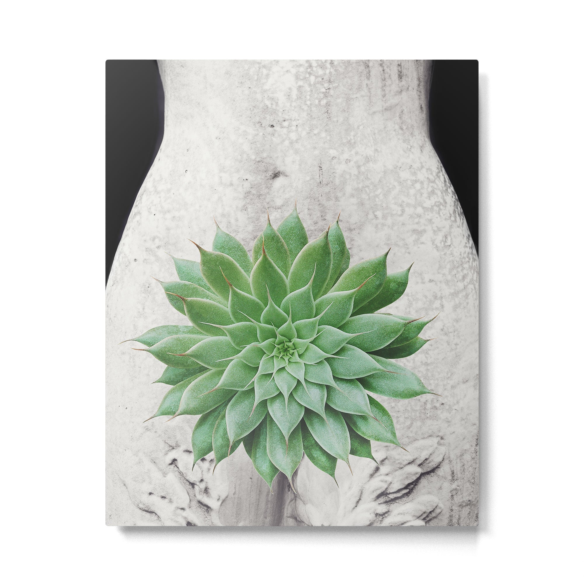 A Succulent Woman Metal Print Gallery Image 4