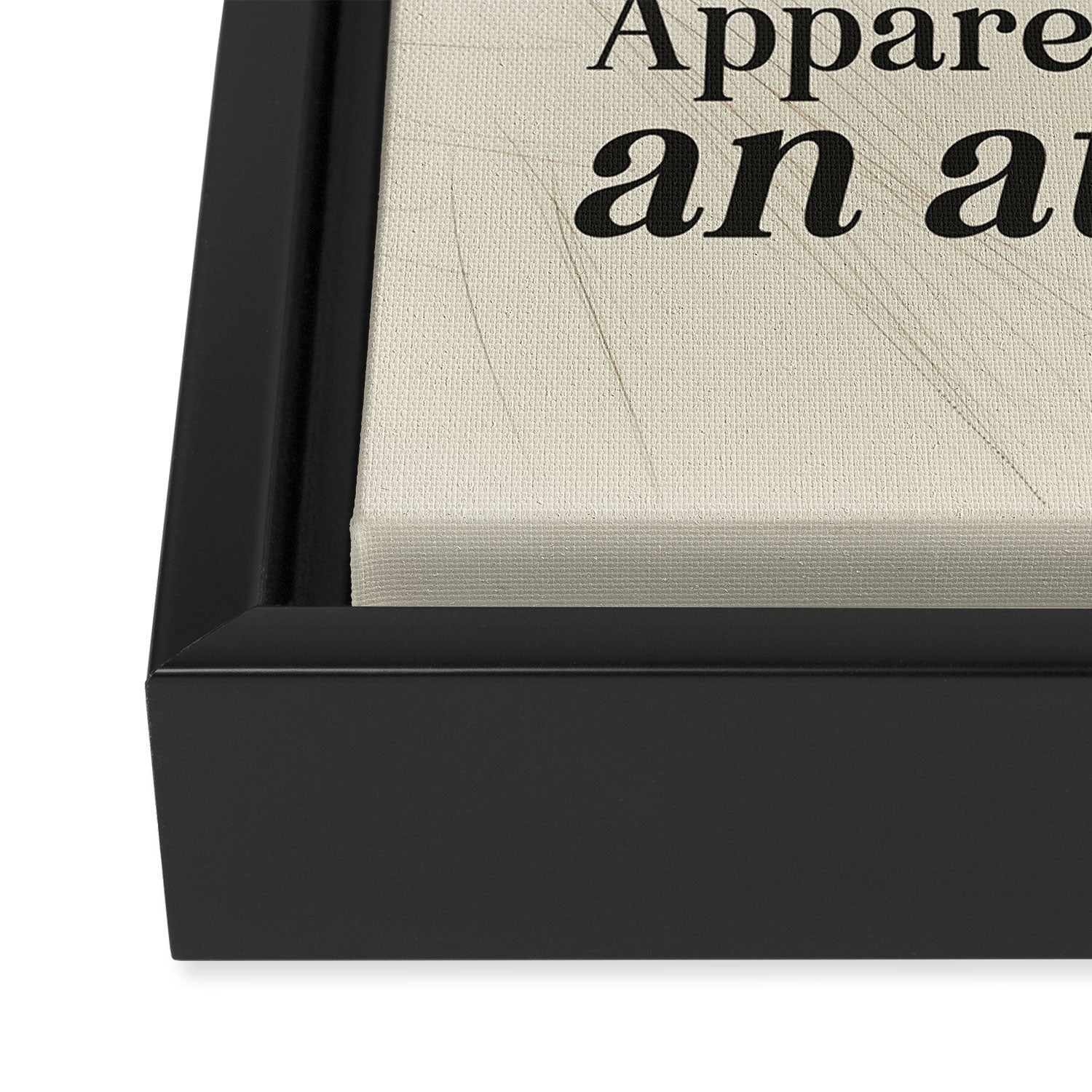 Apparently, I Have an Attitude Framed Canvas Print Gallery Image 3